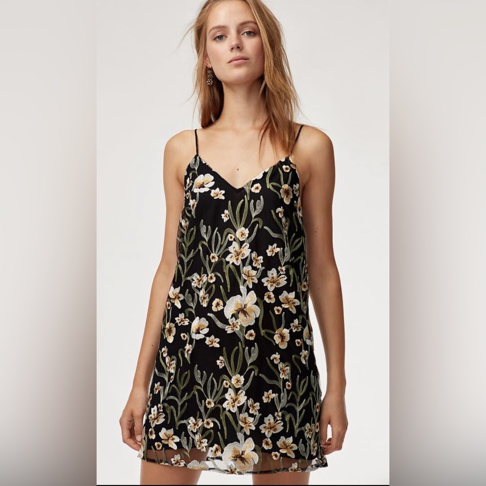 Aritzia Little Moon Floral Embroidered Sip Dress